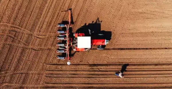 shutterstock_13768802999-Desat-600x901